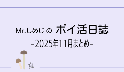 ポイ活日誌【2025年11月まとめ】｜10,869円